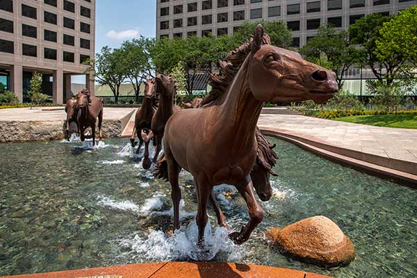 stories/mustangs-at-las-colinas2024.jpg